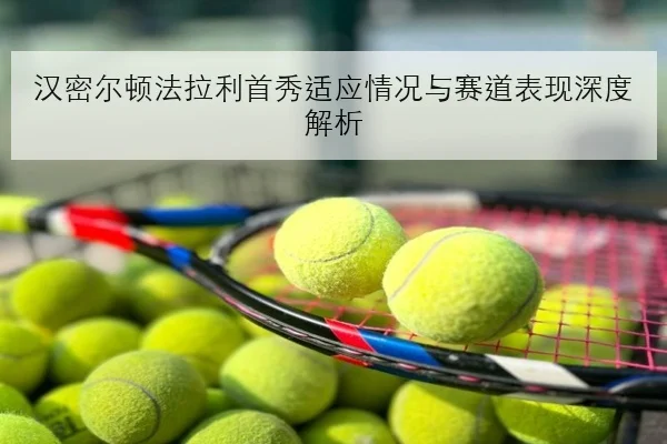 EDG夏季赛换人方案引热议中路联动问题亟待破解